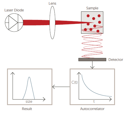 Optical diagram of a DLS system.