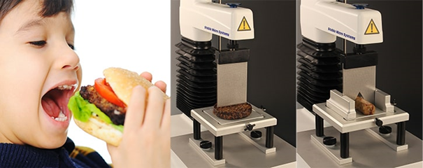 Typical cutting tests on a Texture Analyser imitating the biting action.