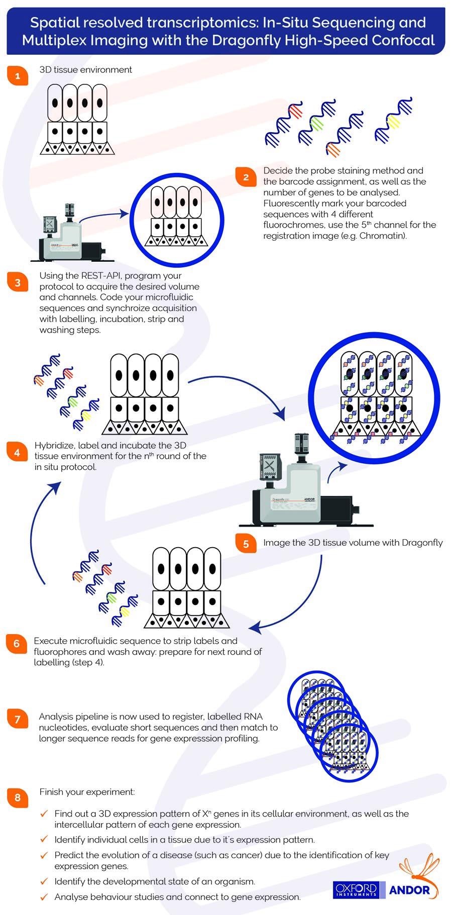 Spatially Resolved Transcriptomics Experiments Using a Spinning Disk Microscope