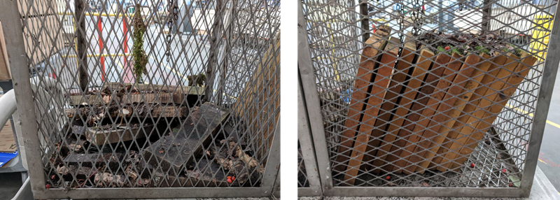 Exposed Wood Samples & Exposed Foam Samples