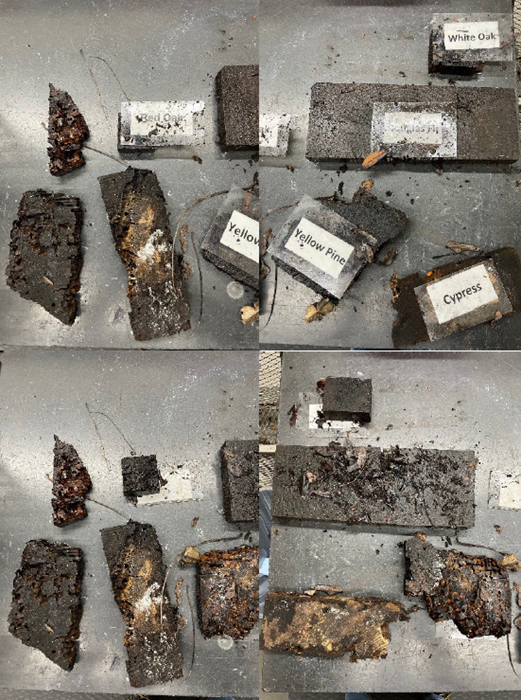 Exposed Wood Samples