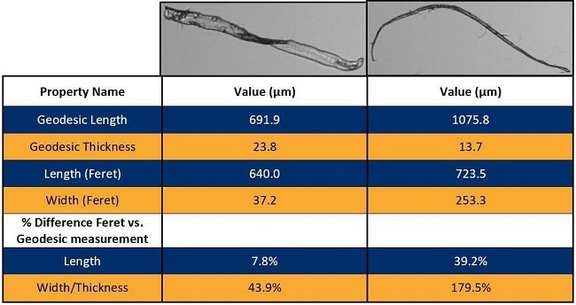 The straight fiber on the left exhibits relatively low percentage differences when comparing length to geodesic length (blue) and width to geodesic thickness (yellow). The curved particle to the right shows a larger % difference between length and geodesic length (blue) and between width and geodesic thickness (yellow), with length (Feret) measurements being underestimated and width (Feret) being overestimated.