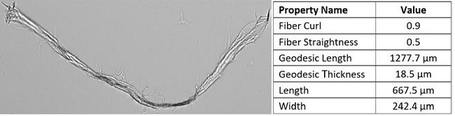 Fiber measurements for the particle shown at left. This particle exhibits a relatively high value for fiber curl and low value for fiber straightness, given its ~90o bend. Note the large difference between geodesic length and length (+610.2 µm) and between geodesic thickness and width (-223.9 µm) due to particle curvatur