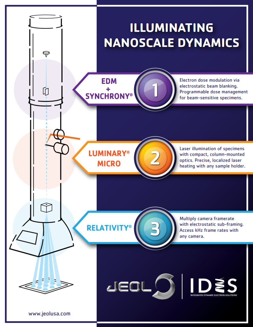 Illuminating Nanoscale Dynamics Employing Unique Solutions from JEOL and IDES