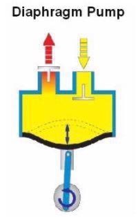 Schematic of a mechanically driven diaphragm pump.