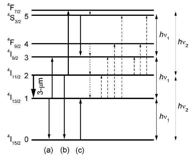 A simplified energy level diagram for Er:YAG showing the pump absorption and laser transitions. Cooperative upconversion between pairs of Er3+ ions provides greater than unity quantum efficiency and overcomesbottlenecking in the 4I13/2 lower laser level. This diagram was reproduced from Georgescu and Toma [4].