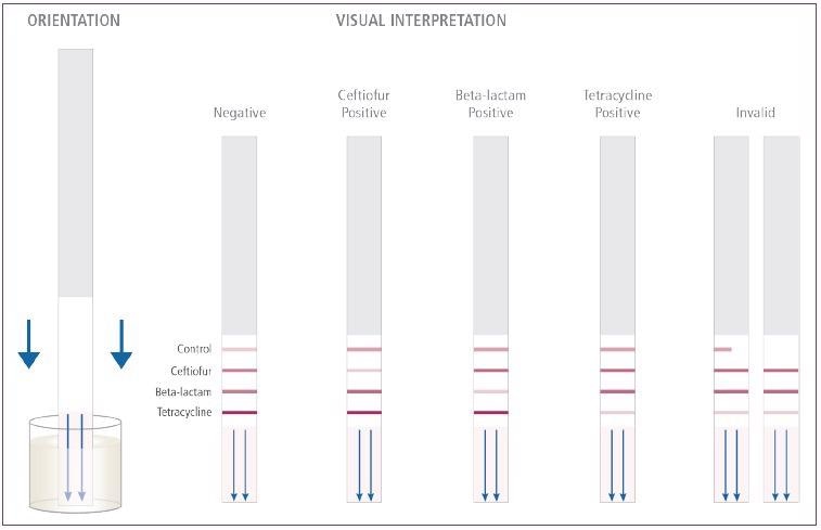 Visual Interpretation of the AuroFlow™ PR1ME™ BT Combo MRL Assay test strip.