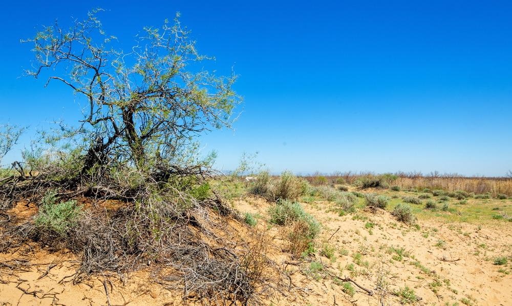 wind erosion, desert
