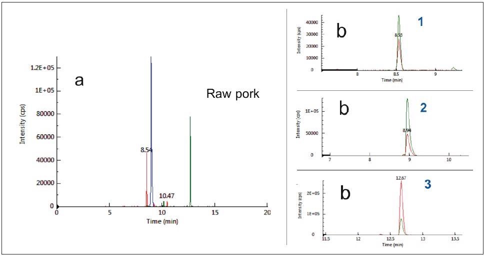 Typical chromatograms of raw pork as acquired by MRM mode: (a) Total ion chromatograms (b) Extract ion chromatograms. Notes: 1:Pork_Peptide_1, Rt 8.5 min; 2:Pork_Peptide_2, Rt 8.9 min; 3:Pork_Peptide_3 , Rt 12.7min.