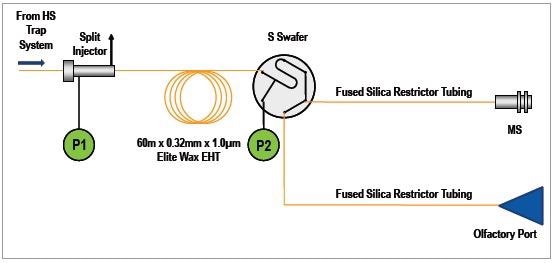S-Swafer configured for use with the Clarus SQ 8 GC/MS and the SNFR.