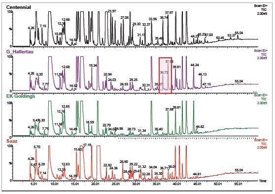 Typical TIC chromatograms of four hop samples.