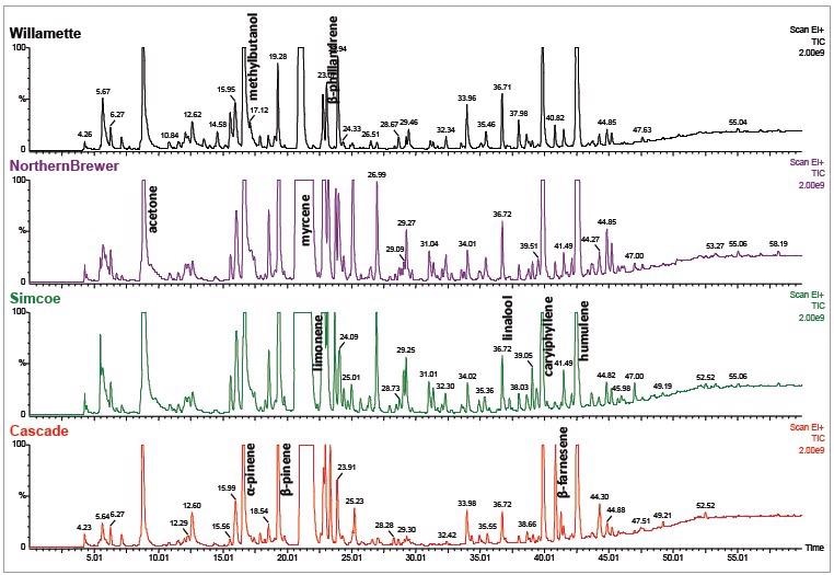TIC chromatograms of a further four hop sample.