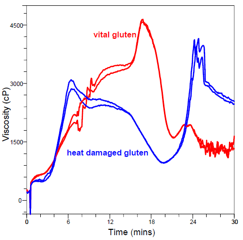 RVA curves showing the large differences between vital and heat damaged gluten samples. Heat damaged samples lack the second peak.