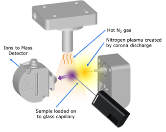 Bringing Ambient Ionization in Mass Spectrometry to the World
