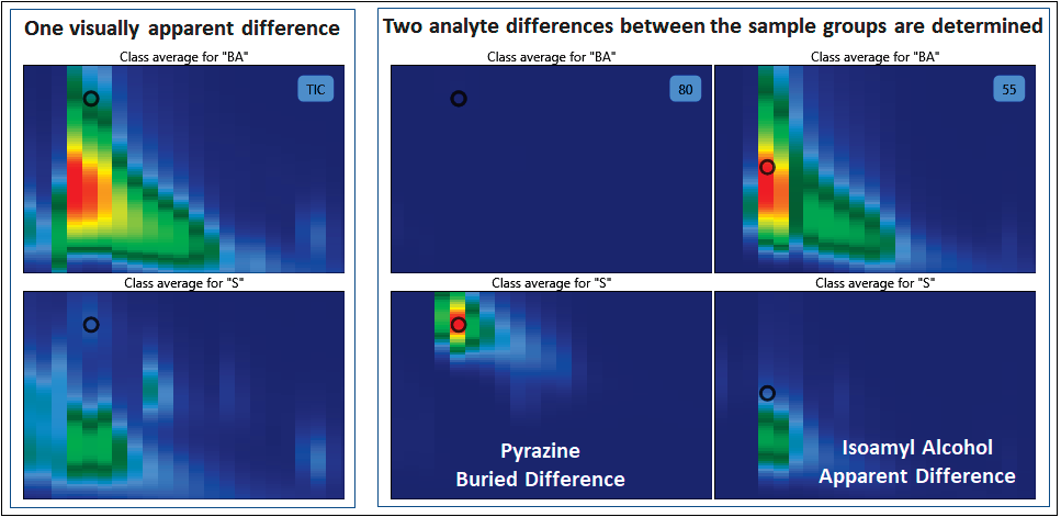 The average chromatogram for the barrel-aged syrup (top) and regular syrup (bottom) are shown for the TIC (left), m/z 80 (middle), and m/z 55 (right) in the chromatographic window around pyrazine.