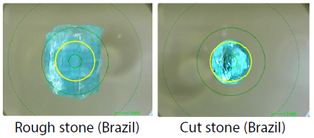 Observation Images of EDX Samples