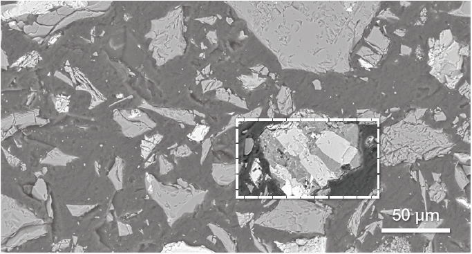 Low-magnification BSE image of BFA.