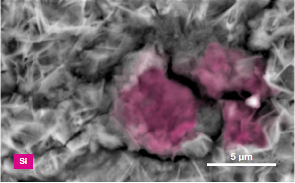 ChemiSEM images of the foreign particle. From top to bottom: backscattered electron image, calcium, fluorine, and silicon distribution. (Acc voltage 15 keV, beam current 0.85 nA, acquisition time 60 s).