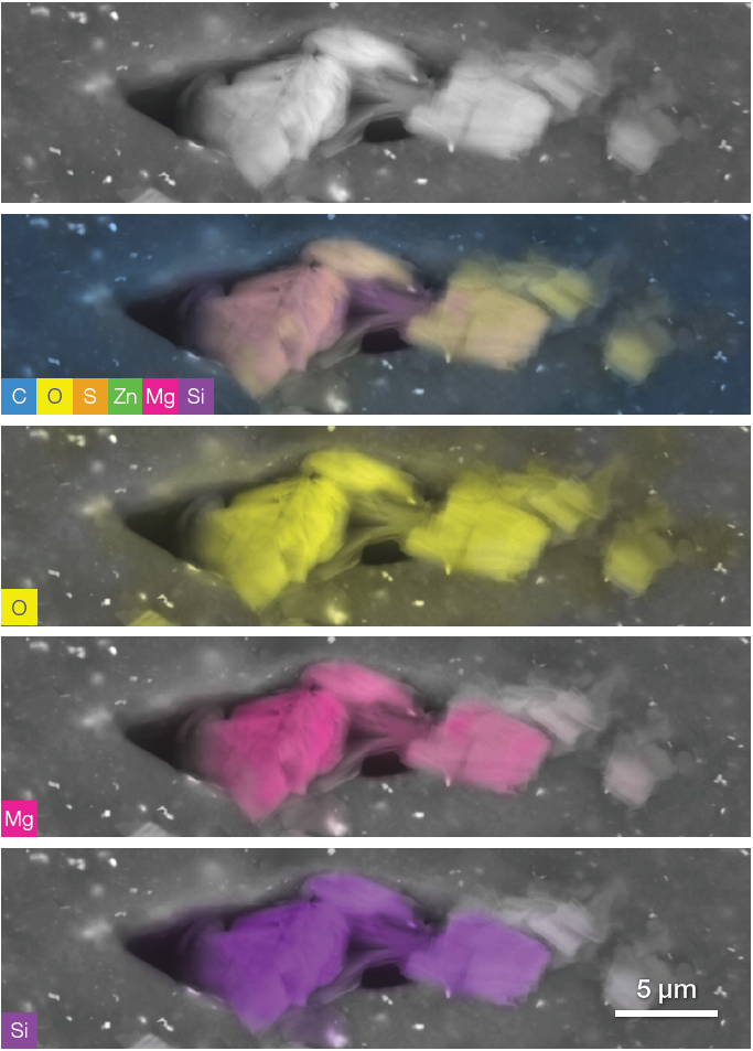 Oxygen, magnesium and silicon rich fillers. The set of images has been acquired in one time by simply saving the conventional greyscale image and then turning on the live quantitative elemental analysis and selecting or unselecting the different elements in order to highlight their distribution.