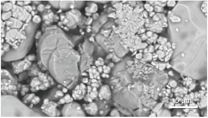 Traditional backscattered electron image (top) of the region of interest and quantitative elemental mapping (bottom) obtained with an acquisition of 80 seconds. (Acquisition parameters: acc voltage 10 keV, beam current 0.76 nA, dwell time 5 us).