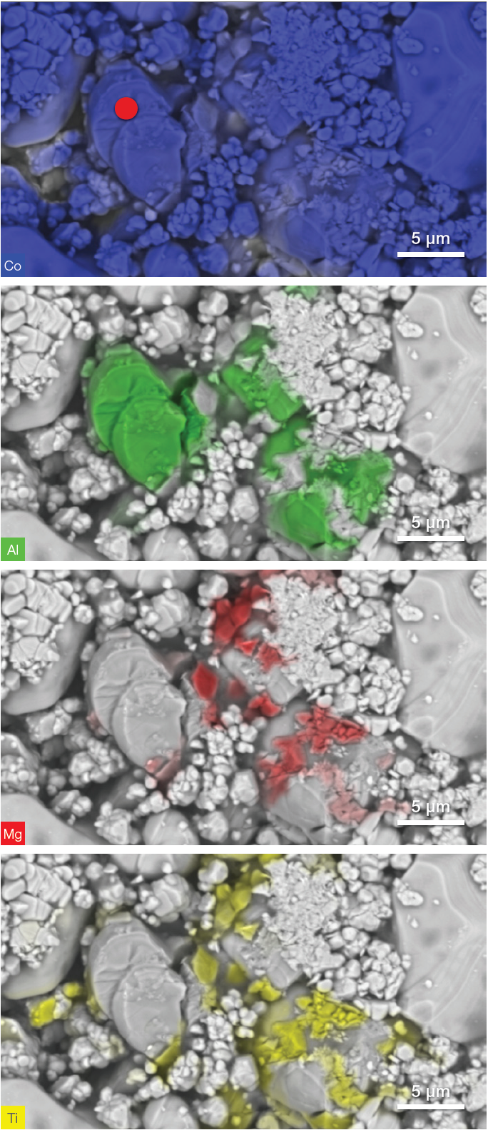 The first image on the top shows the distribution of the cobalt (Co) which is part of the battery matrix. The other three images highlight the distribution of aluminum (Al), magnesium (Mg) and titanium (Ti) contamination, respectively. The red dot in the top image shows the location where further analysis will be performed.
