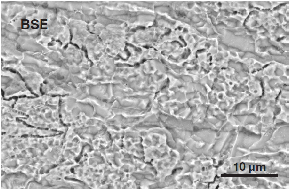 Typical surface of an etched steel (Acc voltage 15 keV, beam current 0.44 nA).