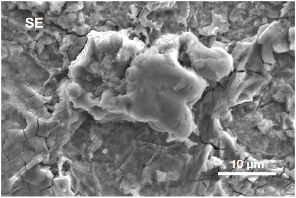 Secondary electron image (top) acquired inside the defective area. It shows the presence of a particle, higher than the surrounding surface, confirming it can be identified as a foreign object. Backscattered electron image (bottom) shows the compositional contrast (Acc voltage 15 keV, beam current 0.44 nA).