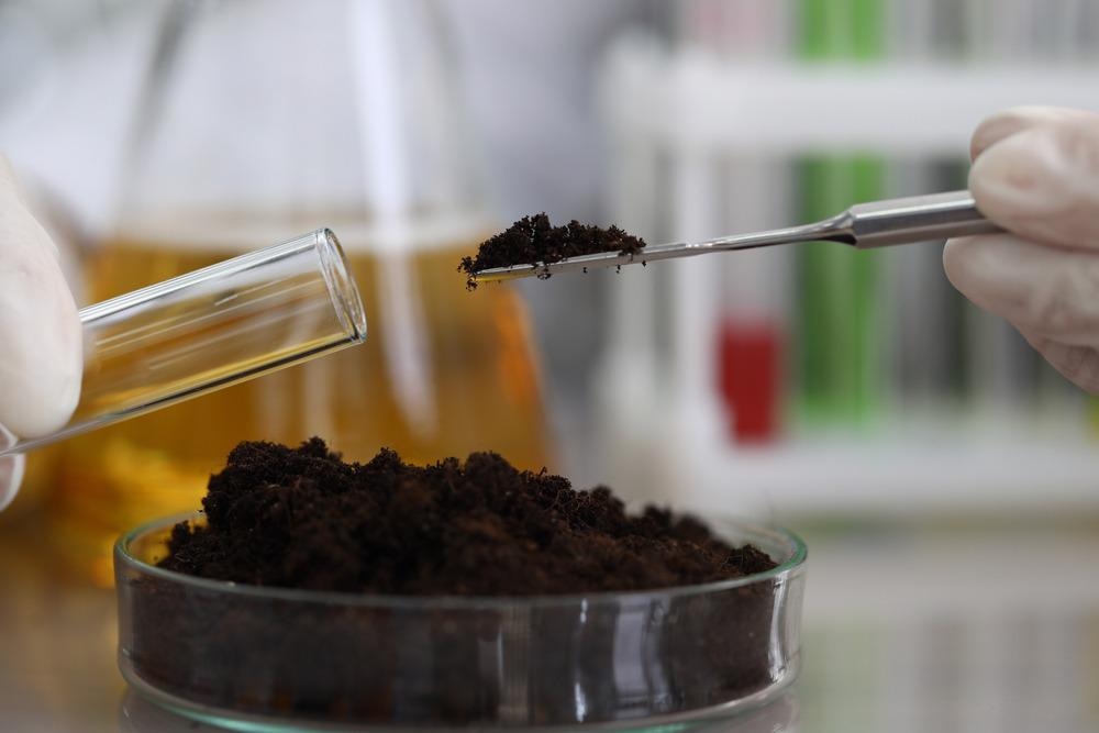 Biopolymers Offer Eco-Friendly Solution to Soil Improvement