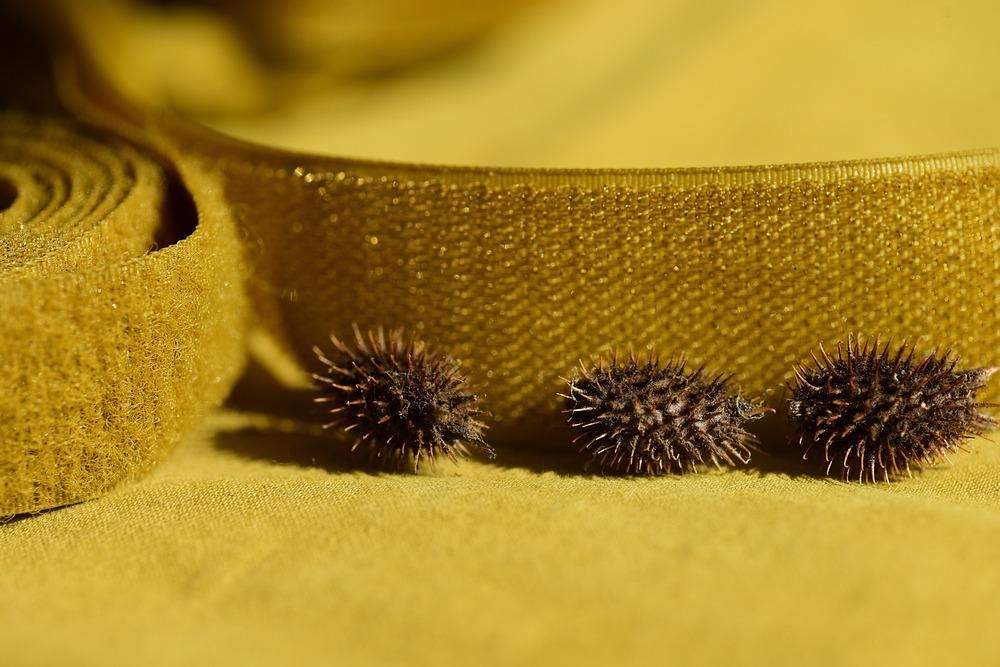 biomimicry, wearable electronics, energy storage, battery, robots, soft robots