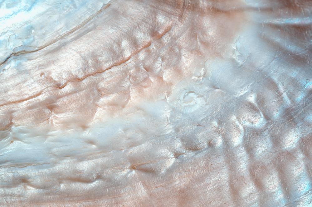 mother of pearl, pearl, nacre, glass