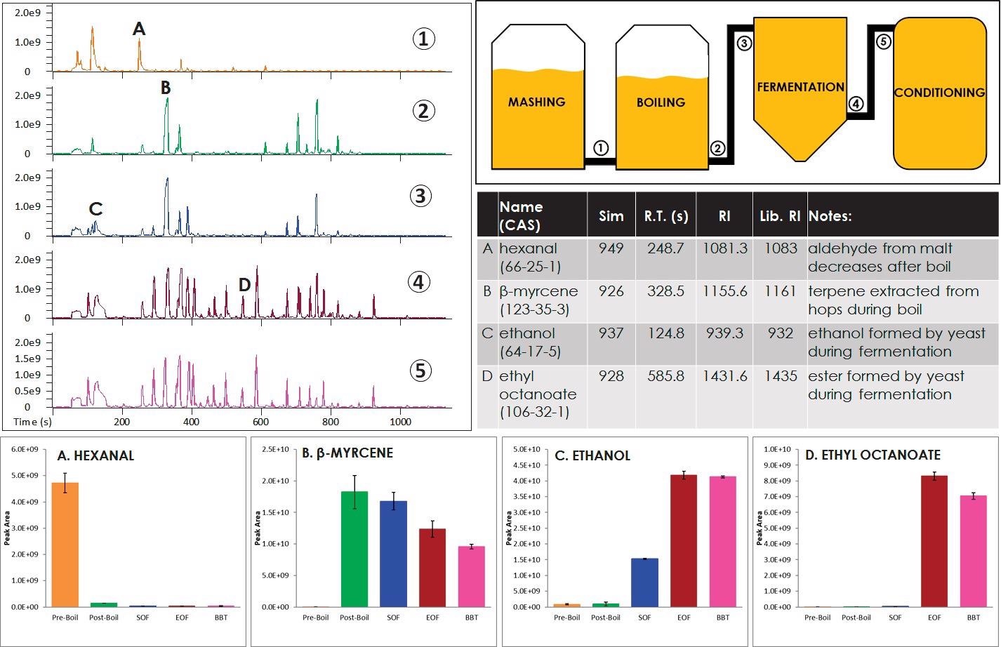 Various points during the brewing process (labeled 1 through 5) were monitored with GC-MS. Representative chromatograms at each processing point are shown. Example analytes that clearly changed during the brewing process are also shown (labeled A through D).