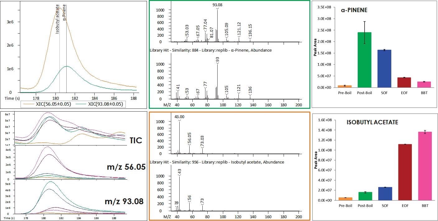 The trends for some analytes may be obscured by coelutions in the TIC view. In these cases, deconvolution is crucial for distinguishing analytes and their changes over the brewing process. The individual differences are not apparent in the TIC view, but deconvolution reveals that the ester increases and a terpene decreases.