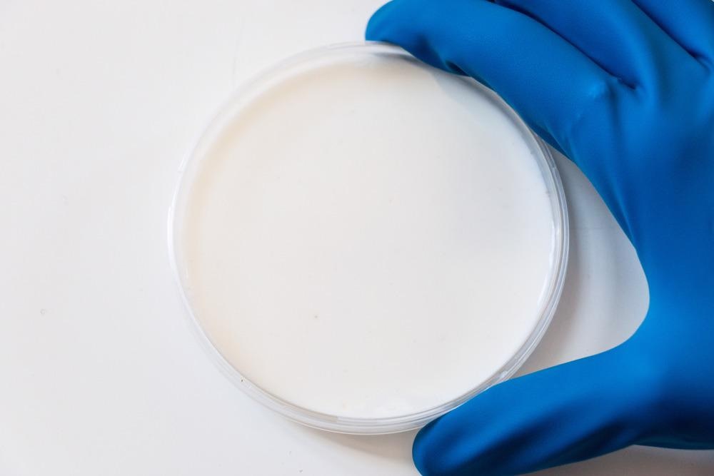 phytosterols, milk, microextraction