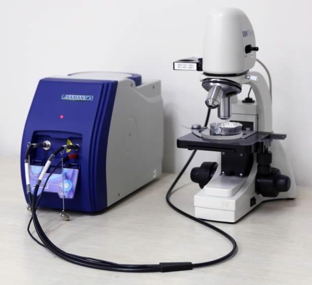The Determination of Microplastics via Portable Raman Microscopy