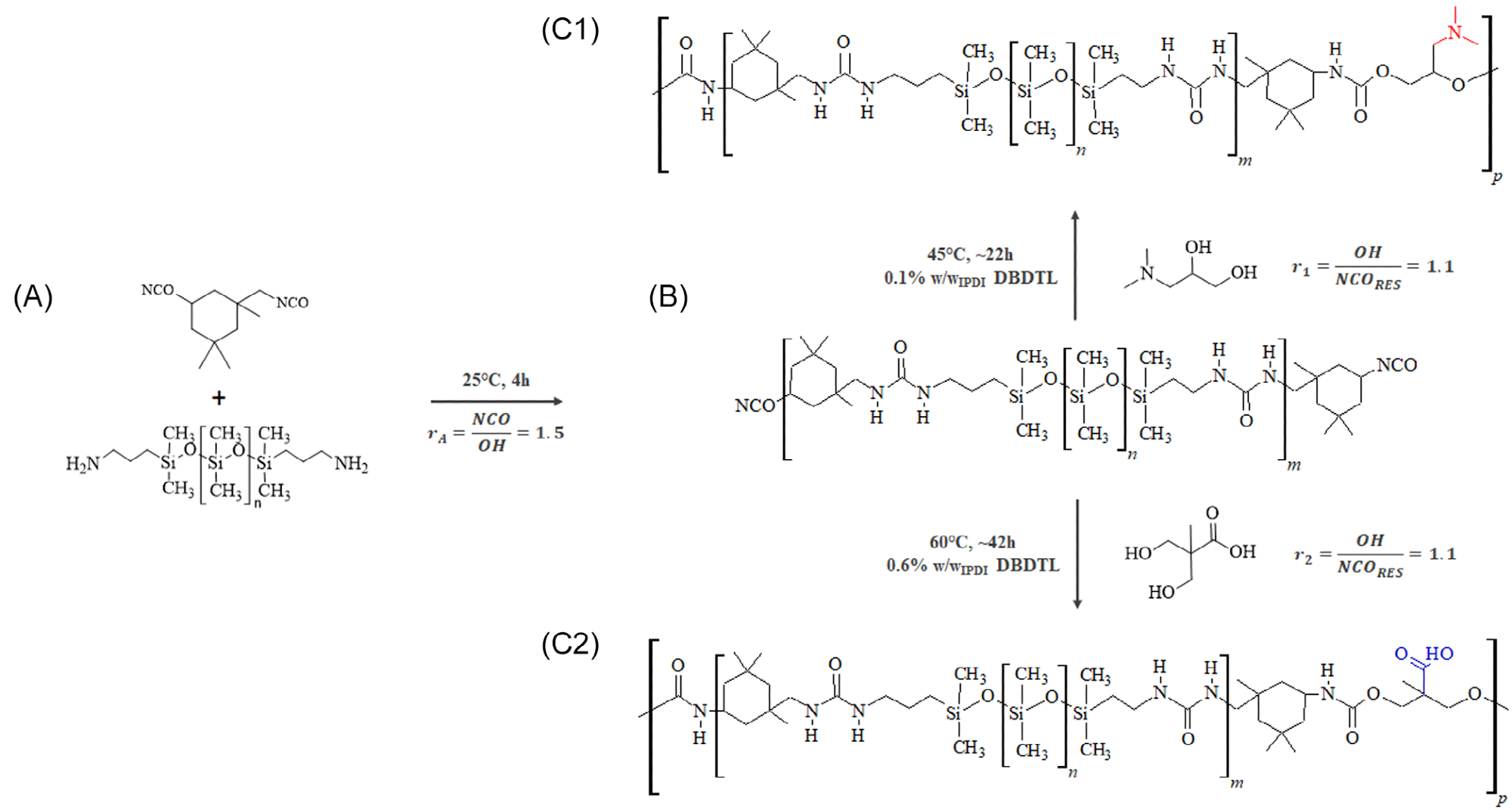 Raw ionomers synthetic path. The monomers IPDI and PDMS-NH2 (A) are combined to form the prepolymer (B). Then, they are chain-extended to give either the cationomer (C1), with tertiary amine functionality (red), or the anionomer (C2), with carboxylic acid functionality (blue). Image Credit: Da Via, et al., 2021.