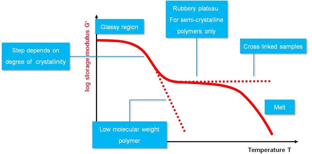 Generalized behavior of polymer sample in a DMTA test.