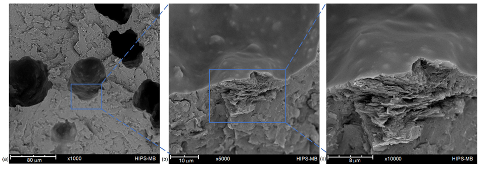 Cross-section of masterbatch filament at different magnifications: ×1000 magnification (a); ×5000 magnification (b); ×10,000 magnification (c)