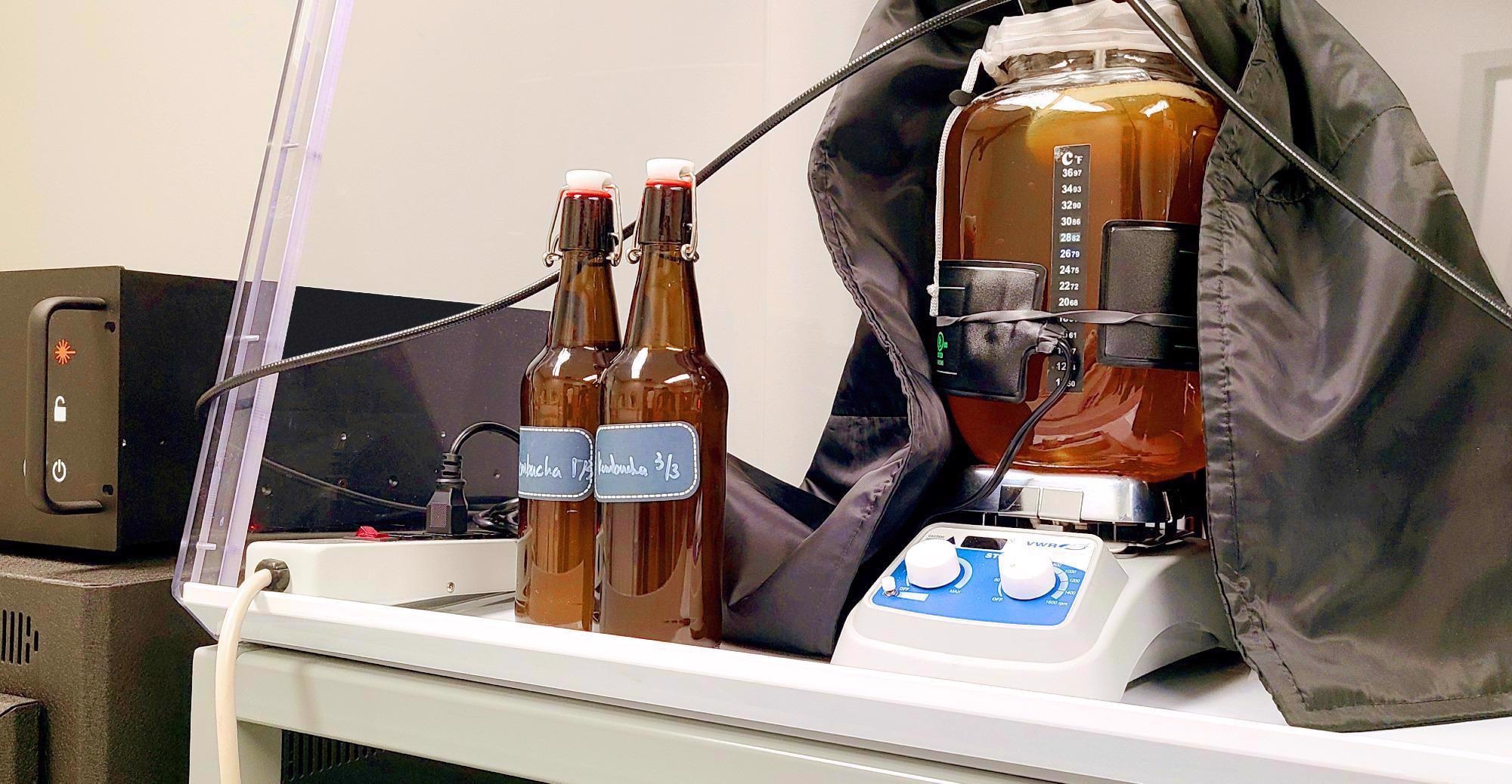 Kombucha: A Healthy Supplement for Thanksgiving