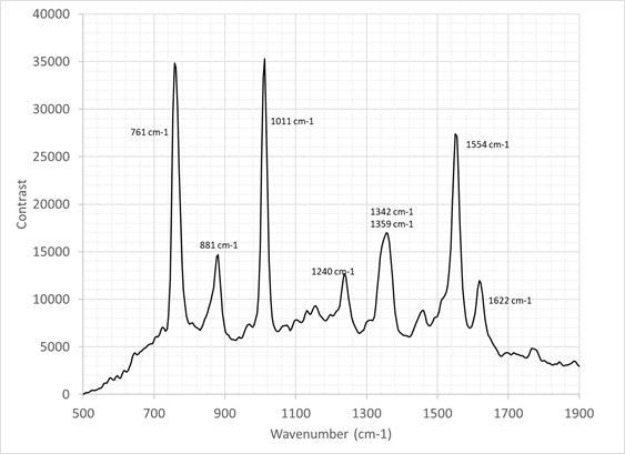 Raman spectrum of tryptophan