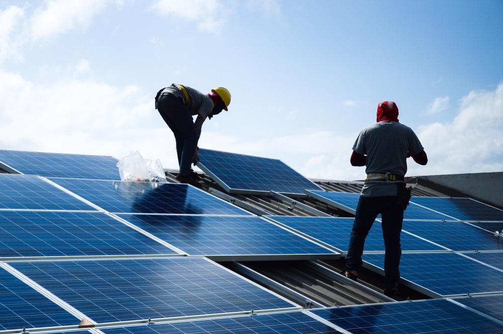 microbiota, photovoltaic, photovoltaic panels, bacteria, energy
