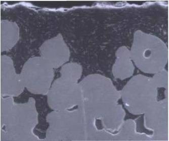 Cross-sectional image of a leadfree composition with MoS2 filler.