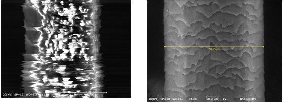 Image of hair at HV mode(left) / image of hair at LV mode(right)