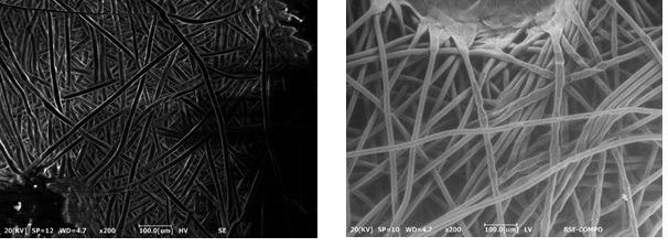 Image of a mask at HV mode(left) / image of a mask at LV mode(right)