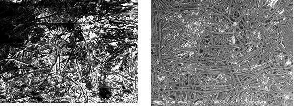 Image of paper at HV mode (left) / image of paper at LV mode (right)