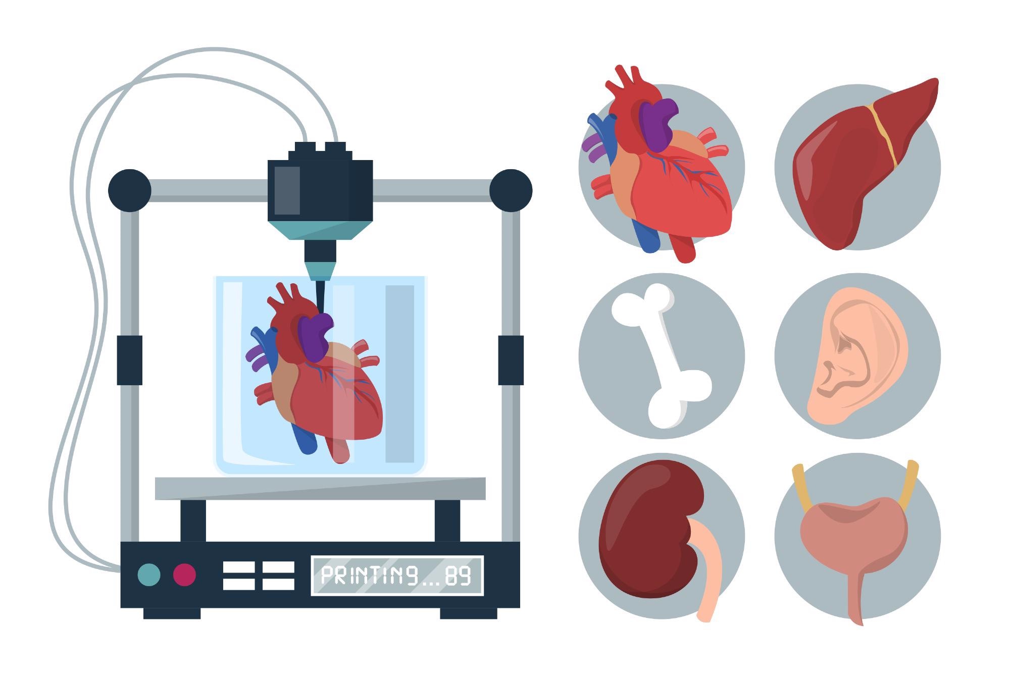 bioprinting, tissue, microbial ink hydrogel, 3d printing