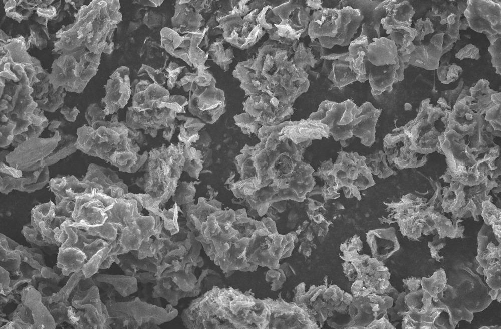 polymers, conducting polymers, polyaniline, polyacetylene