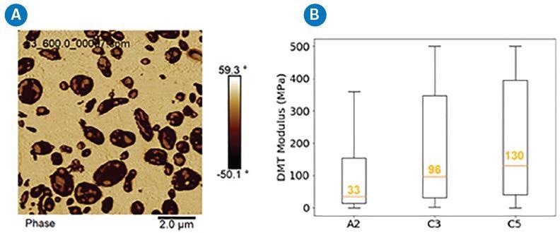 A) representative image of an impact copolymer (ICP) and B) distribution of DMT modulus of rubber domains in 3 ICPs (A2, C3, C5).