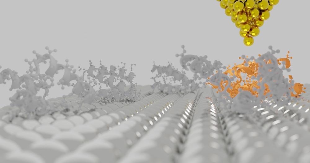 biomolecules, AFM, atomic force microscopy, molecule, microscopy