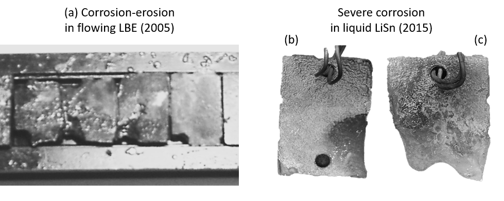 fusion, fusion reactors, liquid metals, corrosion, corrosion resistance, liquid breeders, breeding blanket