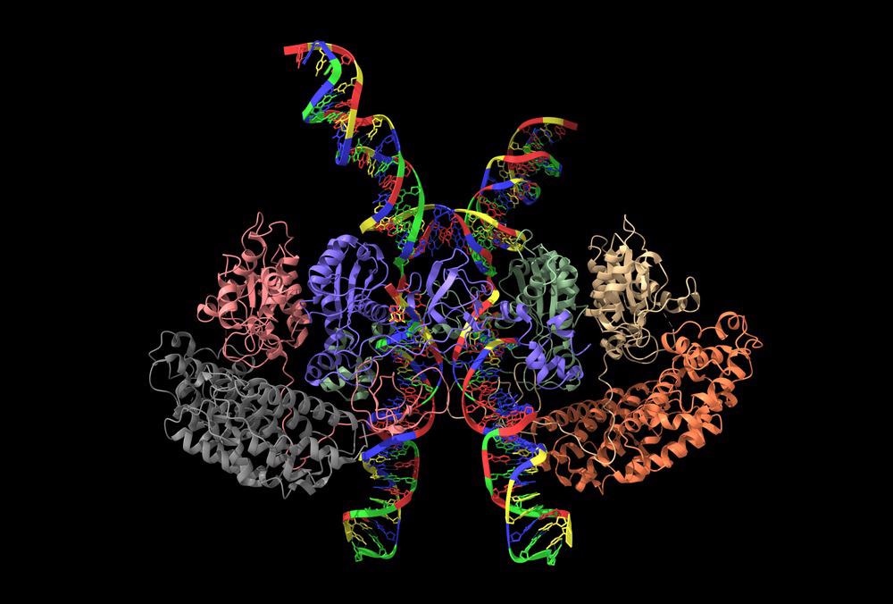 cryo-em, EM, electron microscopy, cryo-electron microscopy, microscopy, cryo-electron tomography, assemblies, tomography